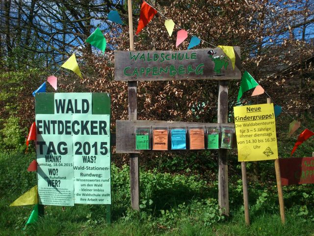 wald-wirkt-waldentdeckertag 1