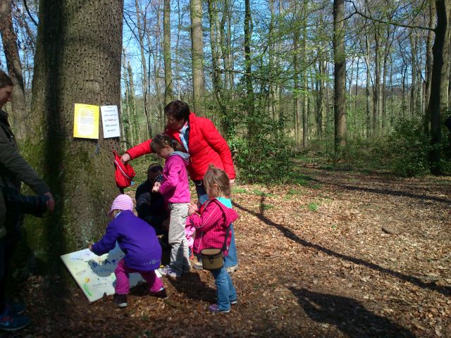 wald-wirkt-waldentdeckertag 3